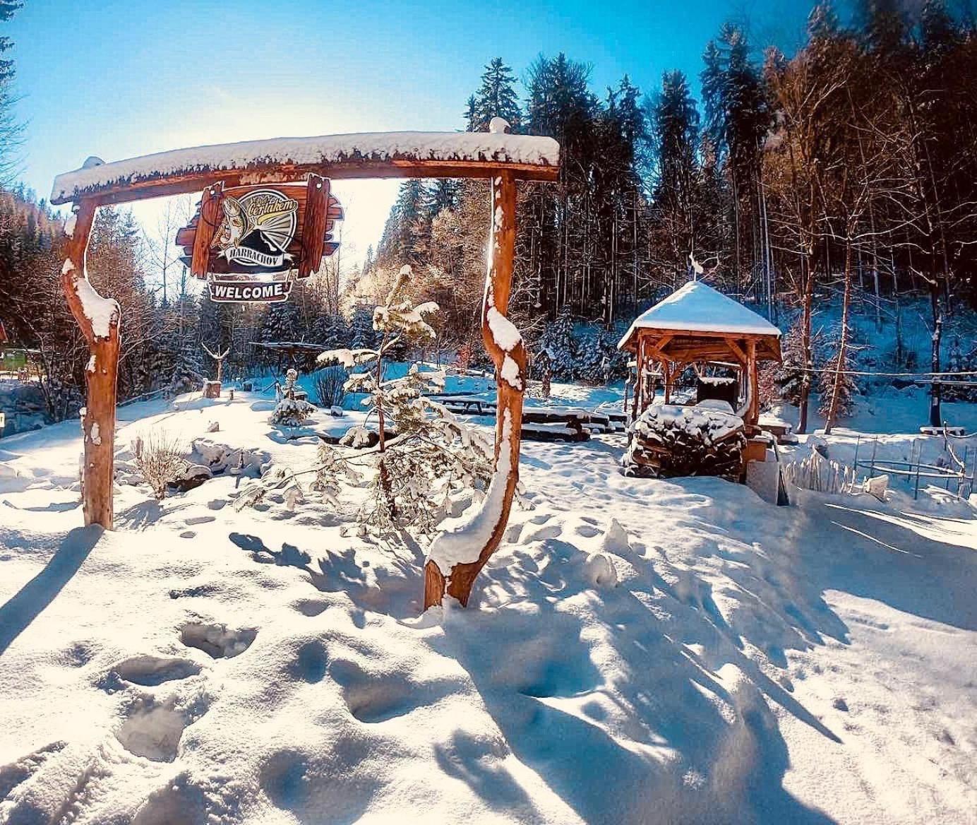 Hotel Penzion&Restaurant Pod Čerťákem Harrachov Exterior foto